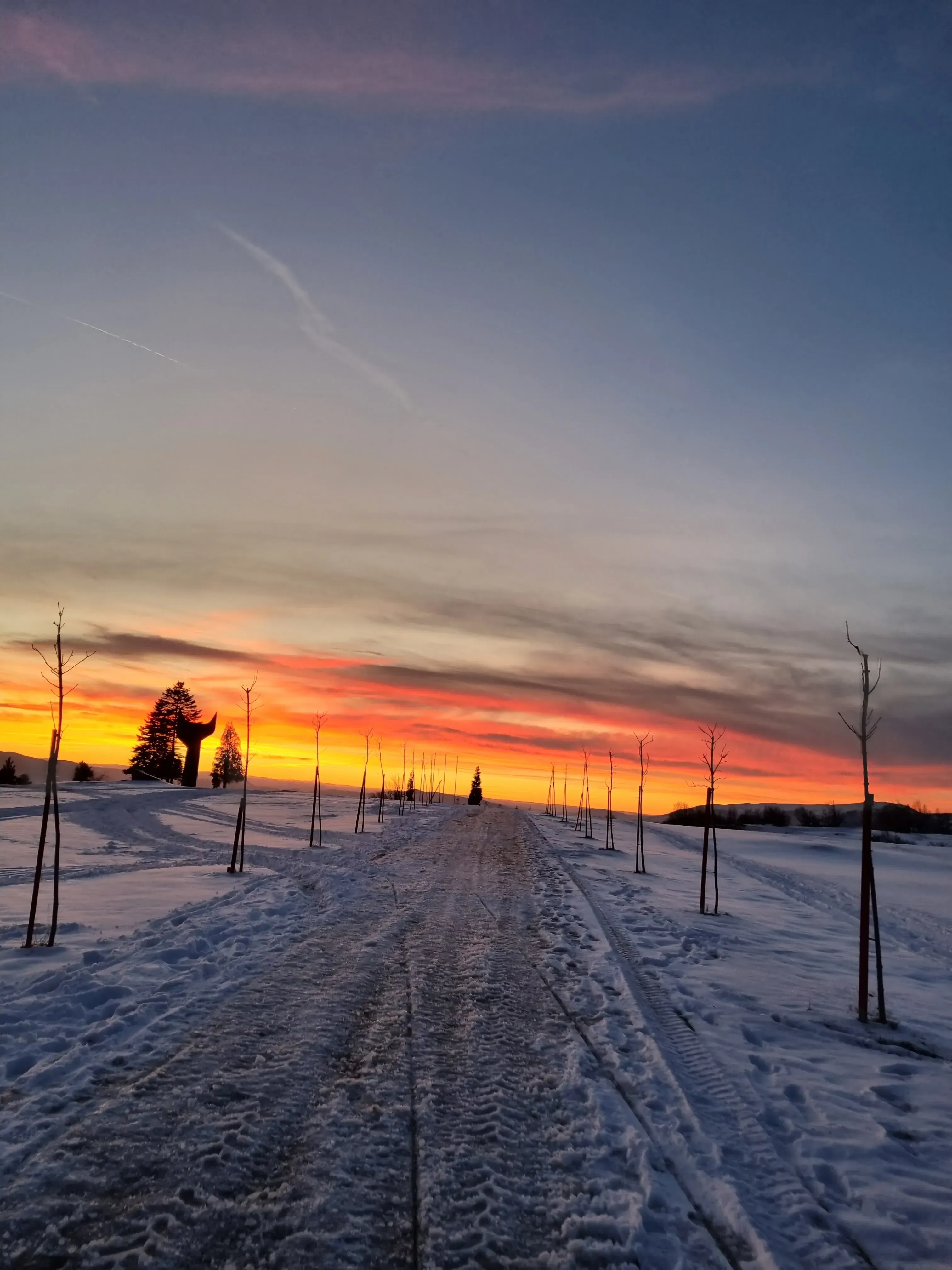 Winter Sunset silhouette